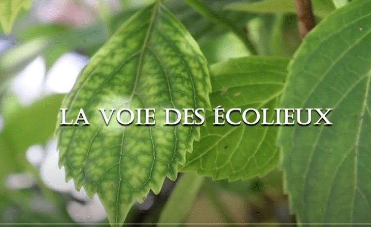 The Path of Ecovillages Documentary